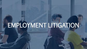 Employment Litigation